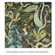 Libro: El pequeño jardinero