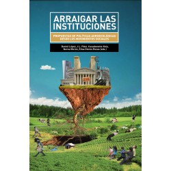 Libro: Arraigar las instituciones