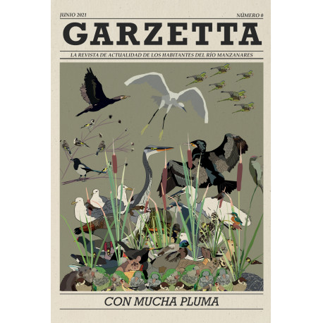Revista Garzetta