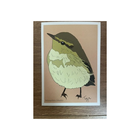 Postal Mosquitero Silvador