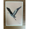 Postal Garza Real