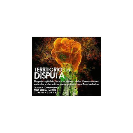 Libro: Territorios en disputa